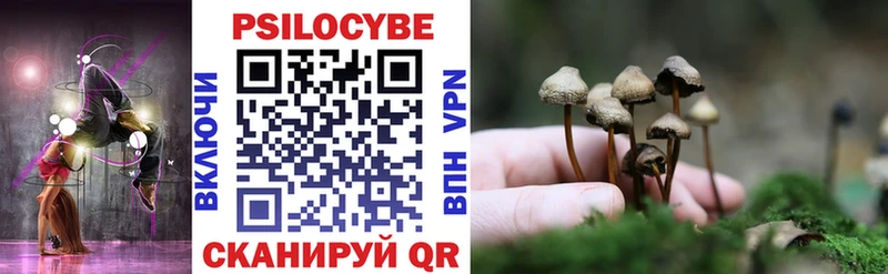 Псилоцибиновые грибы GOLDEN TEACHER  Белоозёрский 